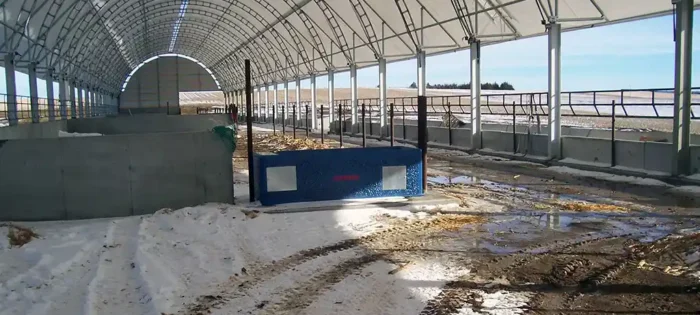 Livestock hoop barn with ridge vent and feed awnings on both sides