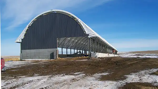 70' wide livestock building under construction