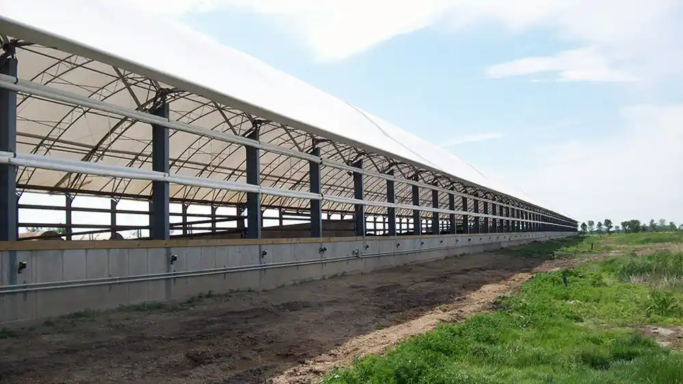 300 foot long cattle barn